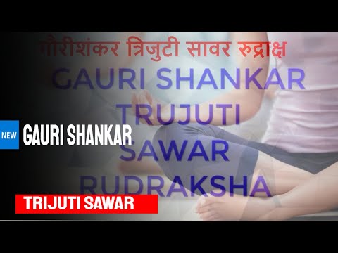 🆕Gauri Shankar Trijuti Sawar Rudraksha Trijuti Rudraksha Bead Usage Video I Hindi I
