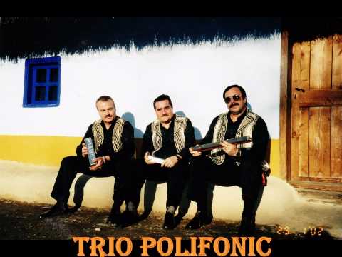 Trio Polifonic - Cadaneasca