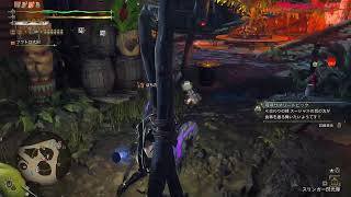 [MHWilds]自分記録用310