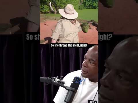 Joe Rogan on Crazy Crocodile Biting a Leg Off