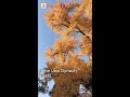 channel