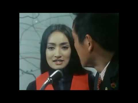 これは見たくなかった。帰ってきたウルトラマンでお馴染みの団次郎さんがワイルド７で銀行強盗のシーン
