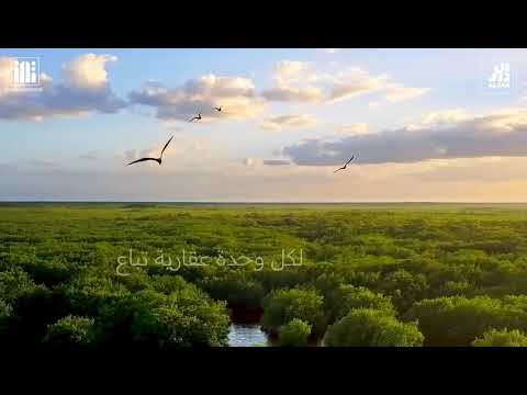 Video 2023 06 04 at 5 09 13 PM