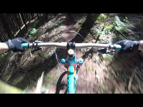 t'ite boitasse à la vinssouille