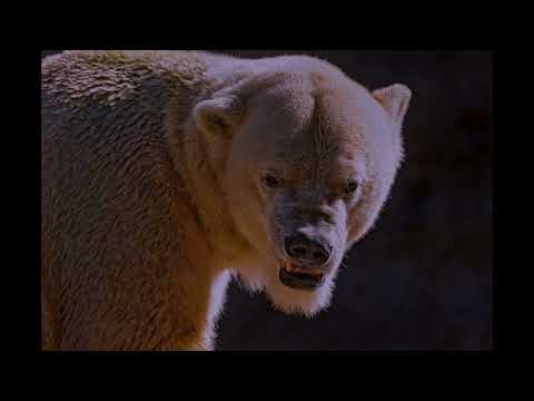 Skream - Filth (Silkie Remix)