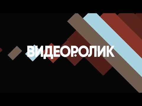Анимация текста в After Effects Инфографика LAMEYA