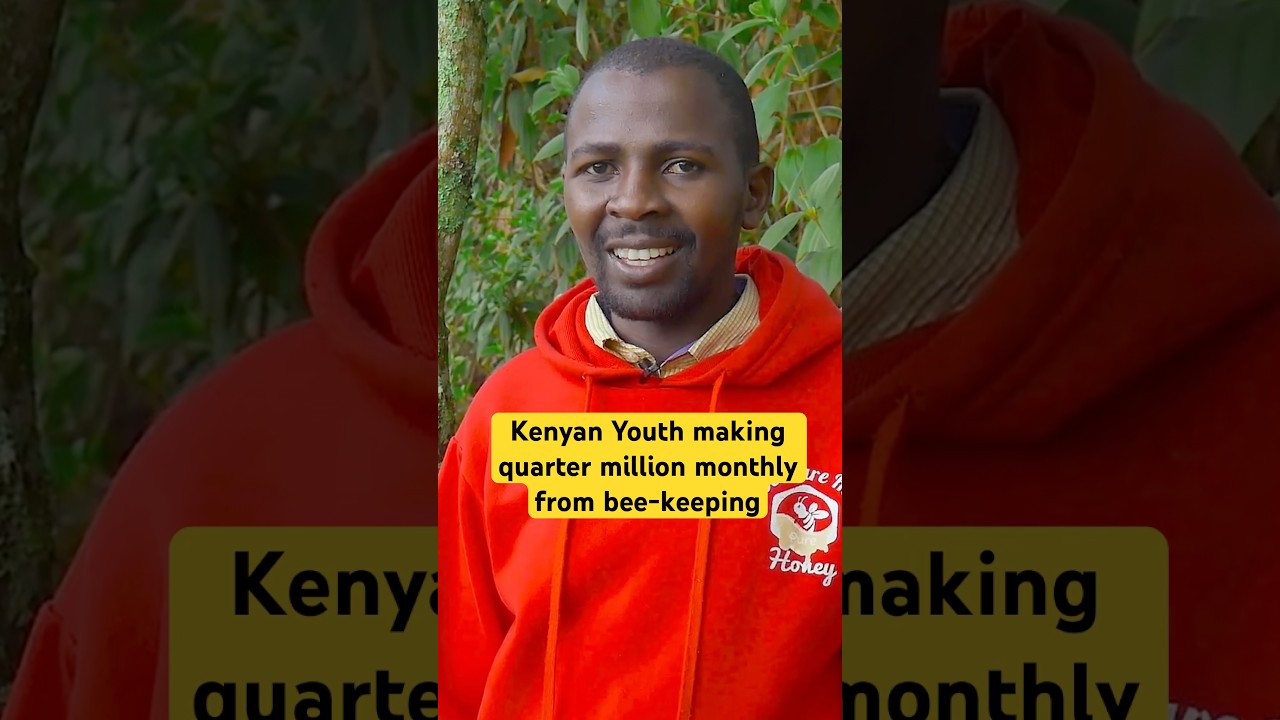 Kenyan Youth making quarter million monthly from bee-keeping #nature #documentary #beekeeping