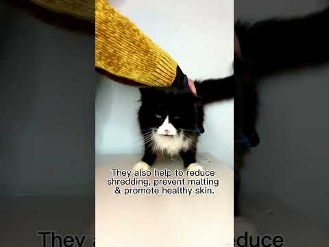 Dog Cleaner Gloves