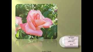 VARIEDADES DE ROSAS  2 - HÍBRIDAS DE TÉ.wmv