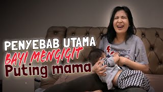 Download lagu Solusi Bayi Gigit Saat Menyusu Tanpa Rasa Sakit Bengkak, Bahkan Mastitis mp3