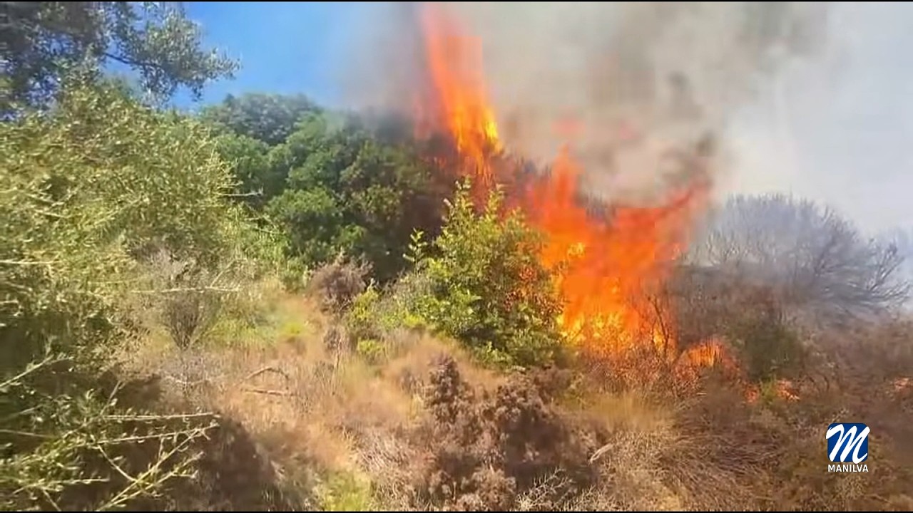 Alto riesgo de incendios forestales
