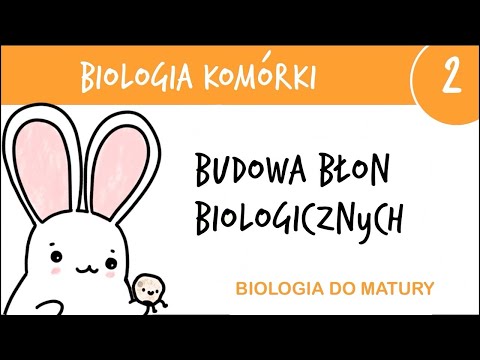 Cytologia 2 - Budowa błon biologicznych, błony komórkowe - biologia liceum poziom rozszerzony matura