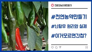 천연농약만들기 난황유 작용원리와 실제