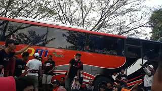 Download lagu Lagu persija viking anjing di bunuh saja mp3 Download lagu Lagu persija viking anjing di bunuh saja mp3