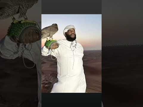 I gotta feeling x feel so close party remix