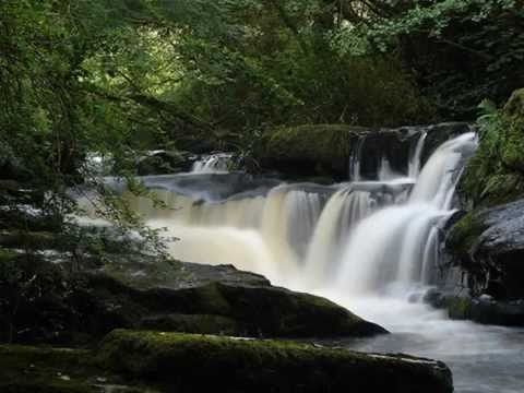 Limerick is beautiful