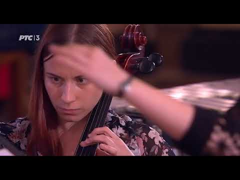 Mira Milosavljević - Homo ludens