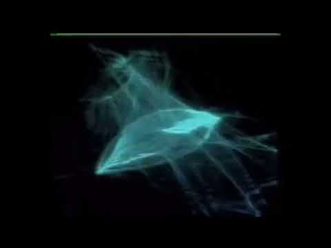 withering spheres - forlorn hope