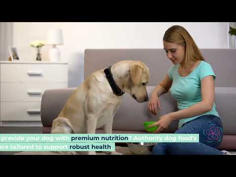 Authority Dog Food Review 2024 Complete Guide High Protein Grain-Free Options and Where to Buy