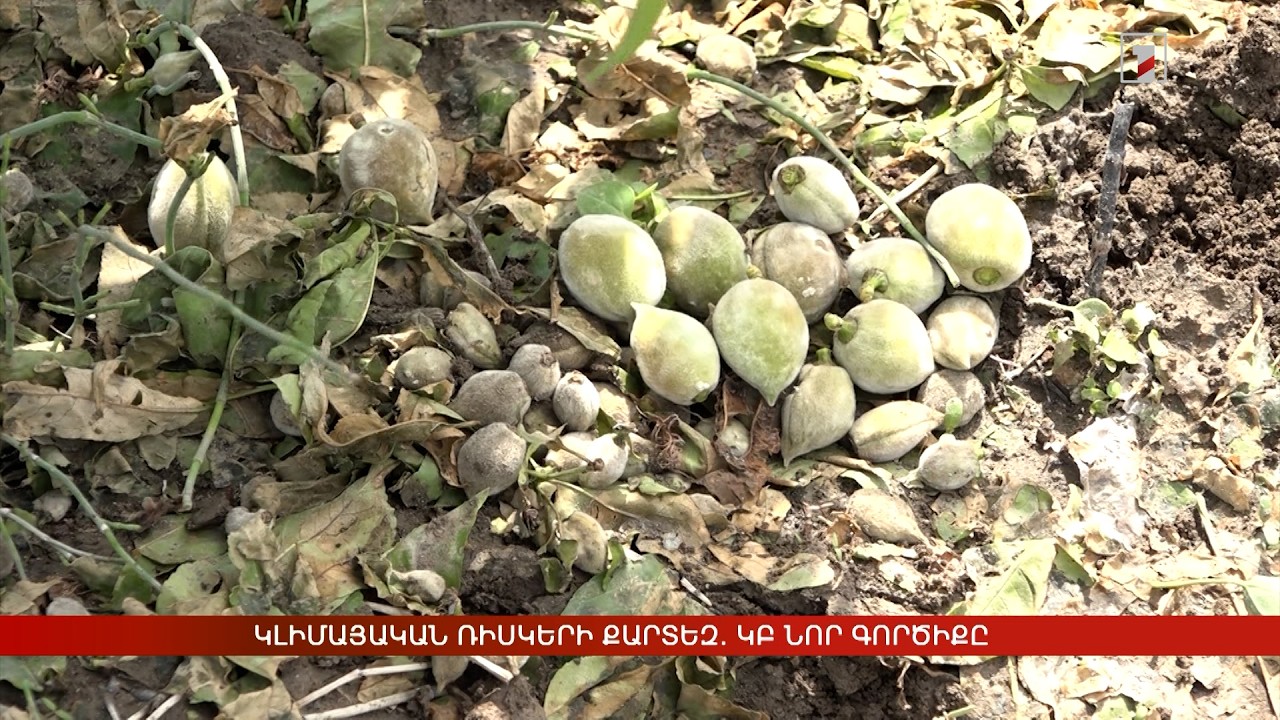 Կլիմայական ռիսկերի քարտեզ. ԿԲ նոր գործիքը
