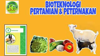 Bioteknologi Part 3 - Bioteknologi Pertanian dan Peternakan | Kelas 9