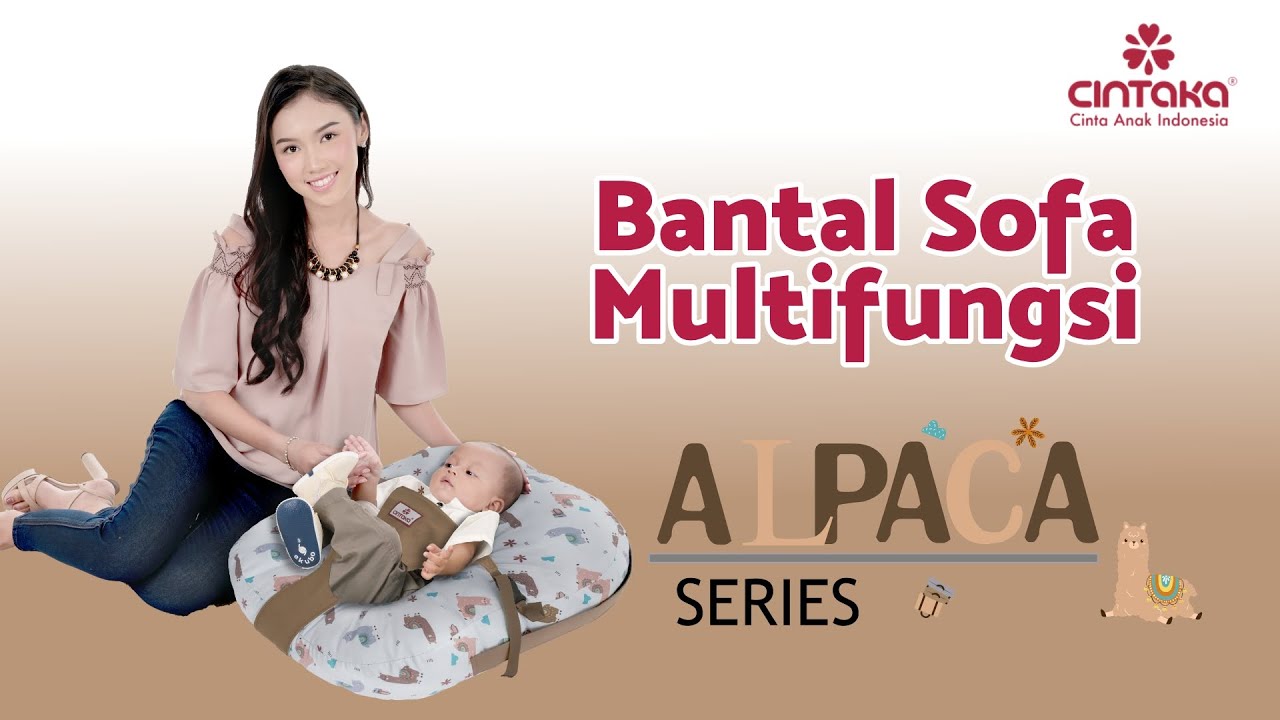 Bantal Sofa Multifungsi Alpaca Series CBB33418
