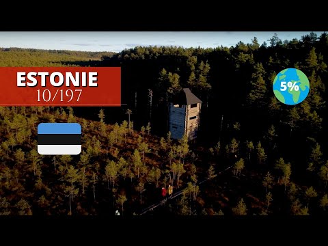 VISITE TOURBIÈRE EN ESTONIE 🇪🇪I Stage de judo avec Rok Draksic (10/197)