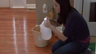 How to Clean Pet Urine Out of Wood Floors