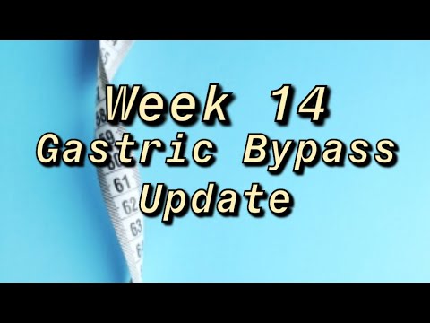 WLS Update Week 14 (11-14-19)