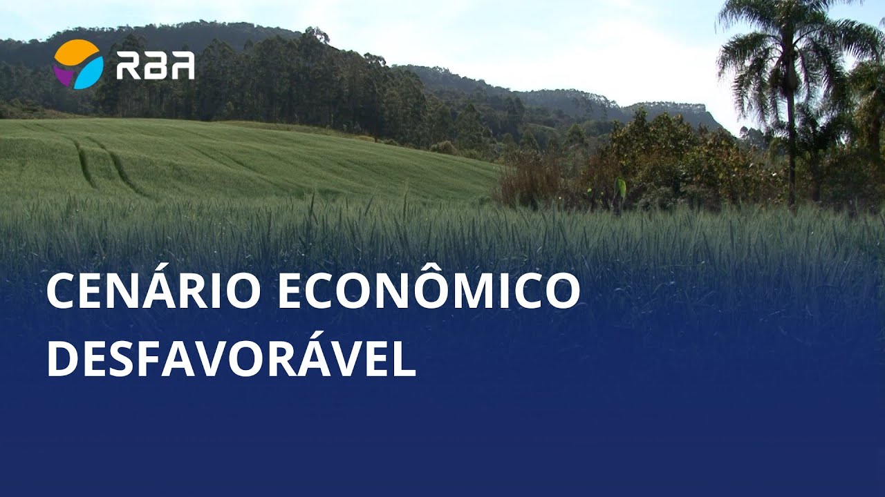 Safra de trigo em Santa Catarina deve ser menor em 2025