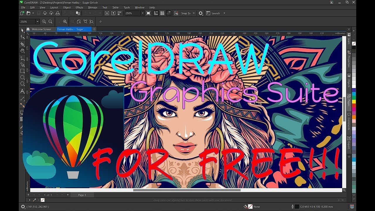 CorelDRAW Graphics Suite Crack download, full free License Version