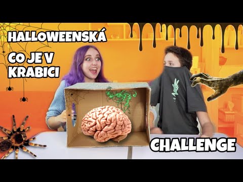 HALLOWEENSKÁ CO JE V KRABICI CHALLENGE /W @FildaGames_ofc