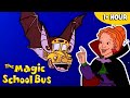 Bats Other Animals Halloween Full Episodes Science For Kids The Magic School Bus