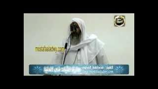 طرق الثبات فى الدنيا للشيخ مصطفى العدوي image