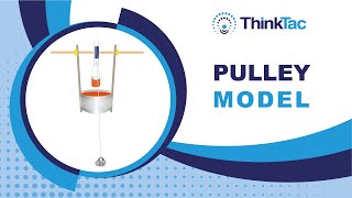 Pulley Model | ThinkTac | DIY Science