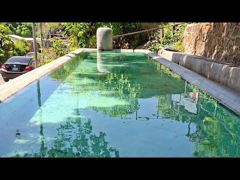 Un paraíso en medio de La Ciudad, San Vicente , El Salvador. 