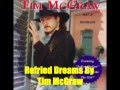 Refried Dreams By Tim McGraw *Lyrics in description*