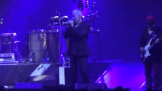 Bernard Lavilliers - Traffic