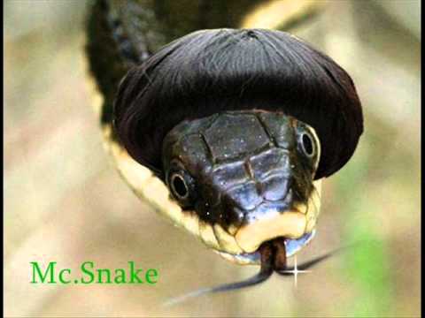 Mc.Snake - Thug Life -  Meine Stadt  "Dgungle" (hammmerrrrr!!!)
