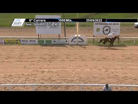 SINT MELO 220925 c06- 1° MISS PRINCE