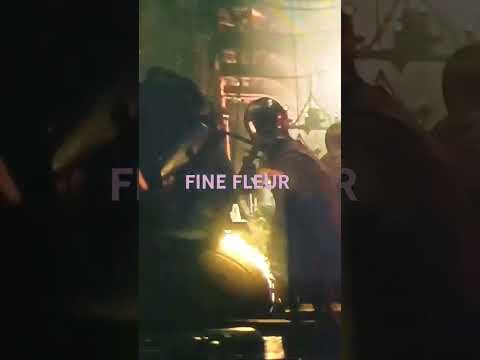 Fine Fleur ( Le QG Nantais et DJ BÉBÉ 44 )