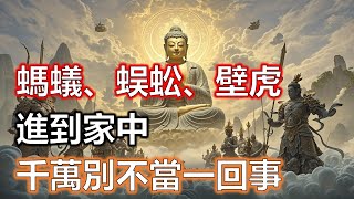 螞蟻、蜈蚣、壁虎進到家中，預示著什麼？是老天爺的重大訊號