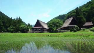 動画2
