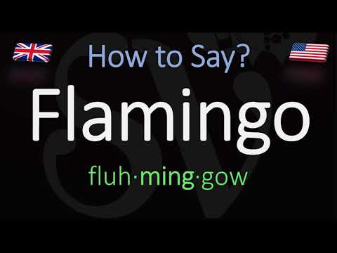 How to Pronounce Flamingo? (CORRECTLY) Meaning & Pronunciation