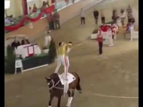 JRG Köln at the German Championchips, 2007 - Queen