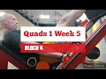 DVTV: Block 4 Quads 1 Wk 5