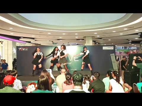 Blackbloszo cover Blackpink - Whistle (remix) + As if it's your last