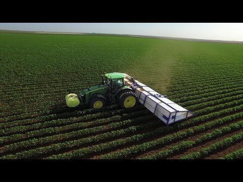 youtube video image