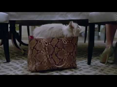 Nueve vidas Nine Lives - Tráiler Oficial