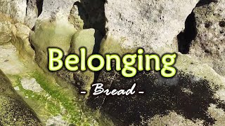 Belonging - KARAOKE VERSION - as popularized by Bread